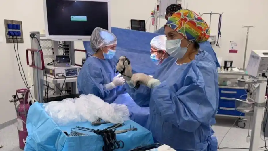 Se realizaron las primeras cirugías digestivas en neonatos por vía laparoscópica en Córdoba