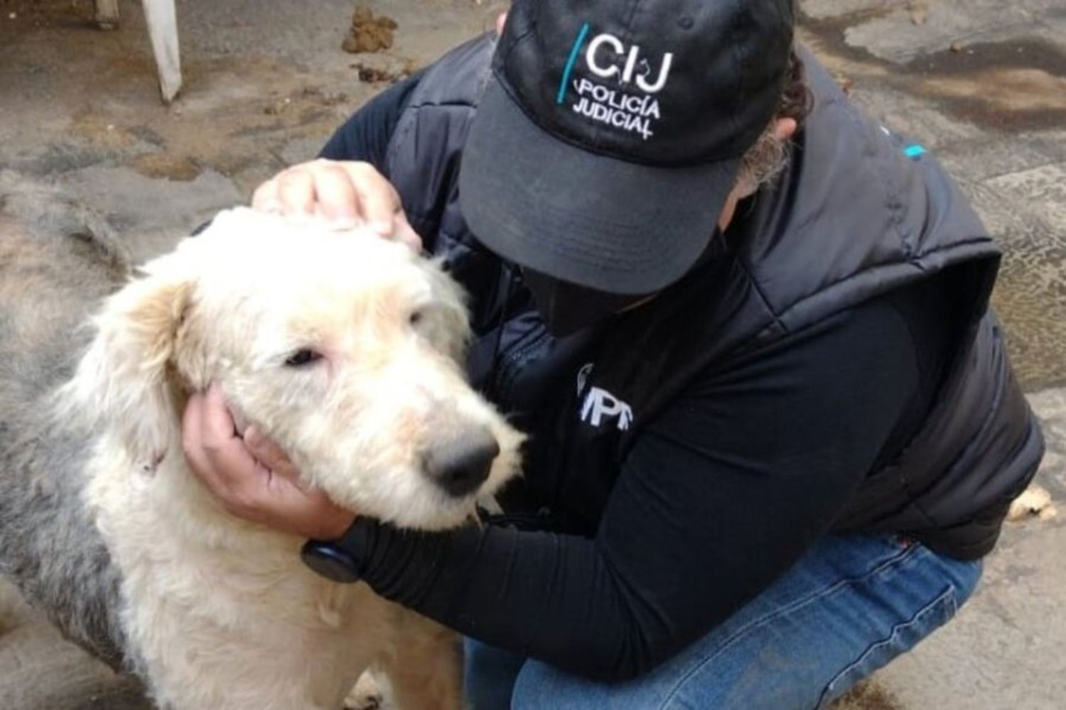 Histórico: condenaron por maltrato y crueldad animal al dueño de un criadero clandestino