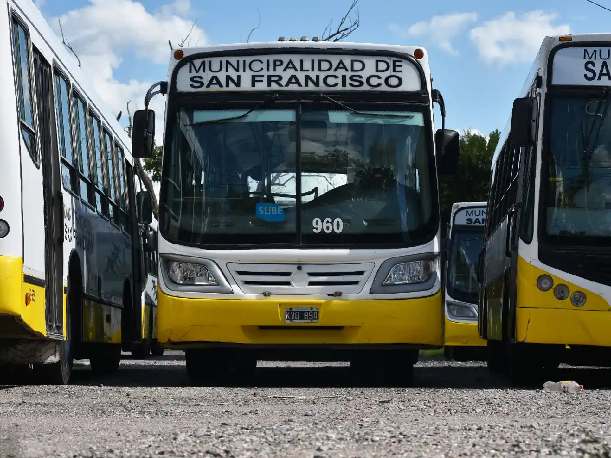  ¿Cuándo y cómo volverá el transporte urbano de pasajeros? 