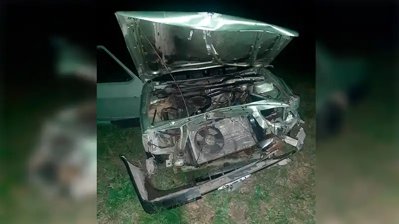 Conductor destrozó su auto tras embestir un ciervo que se le cruzó sobre la ruta