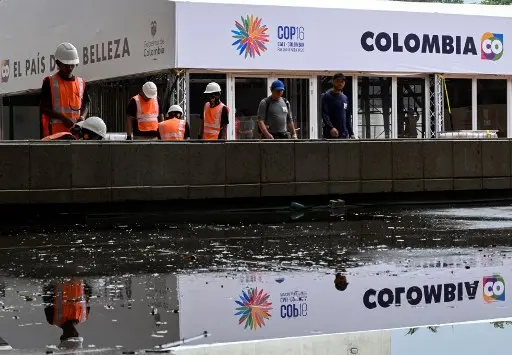 Tensión por enfrentamientos entre Disidentes de las FARC  y el Ejército a pocos días de la COP16