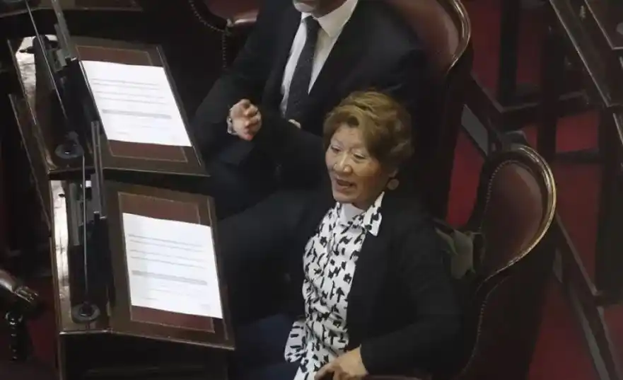 vilma facunda vedia milei - 1