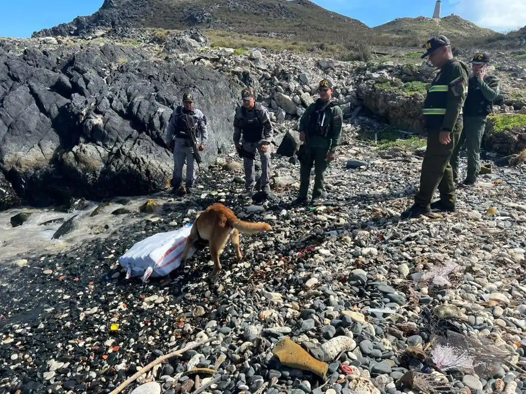 ¿CONSUMO INTERNO? Encuentran 35 kilos de marihuana abandonados en Los Roques