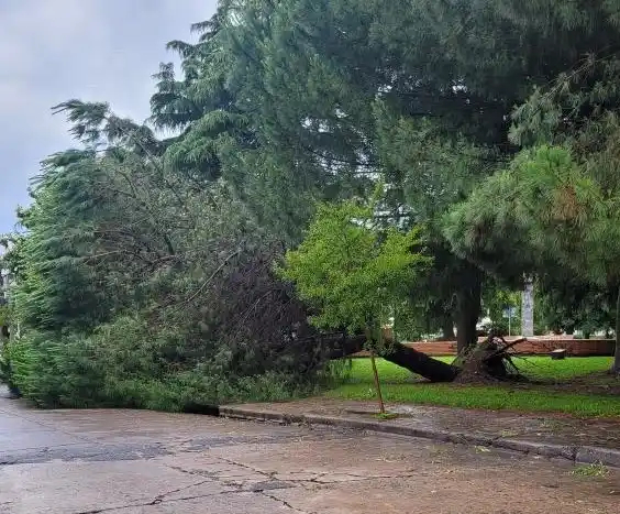 temporal 17-12-23 - 2