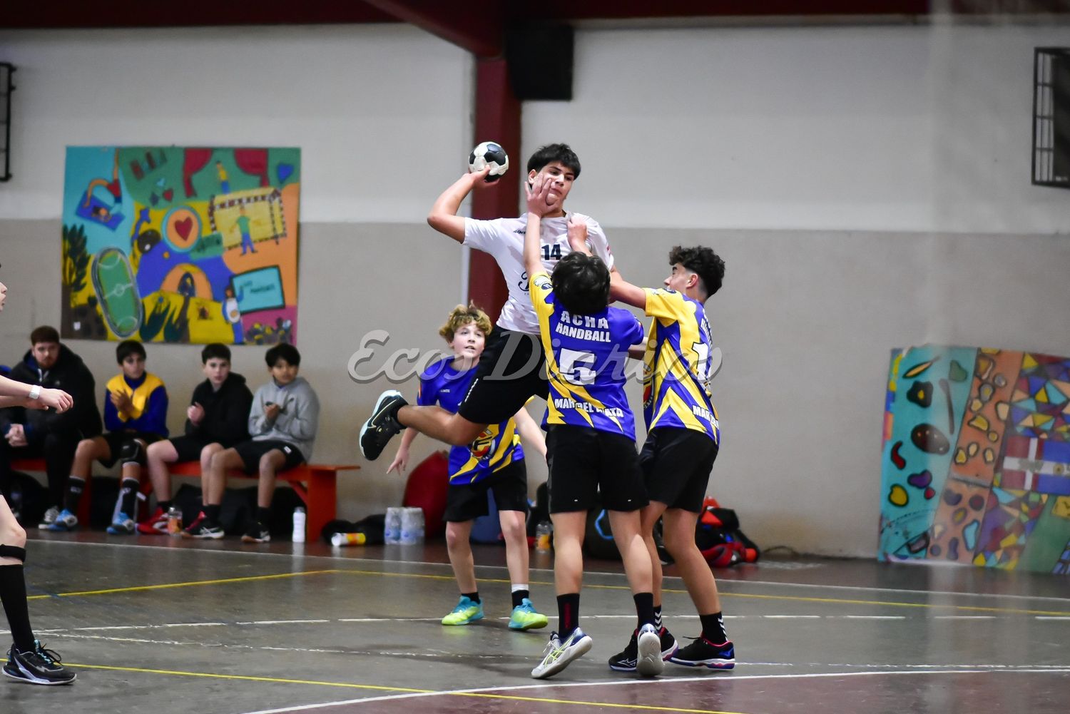 Menores. Altamira en las fases finales del Torneo Apertura de Asabal