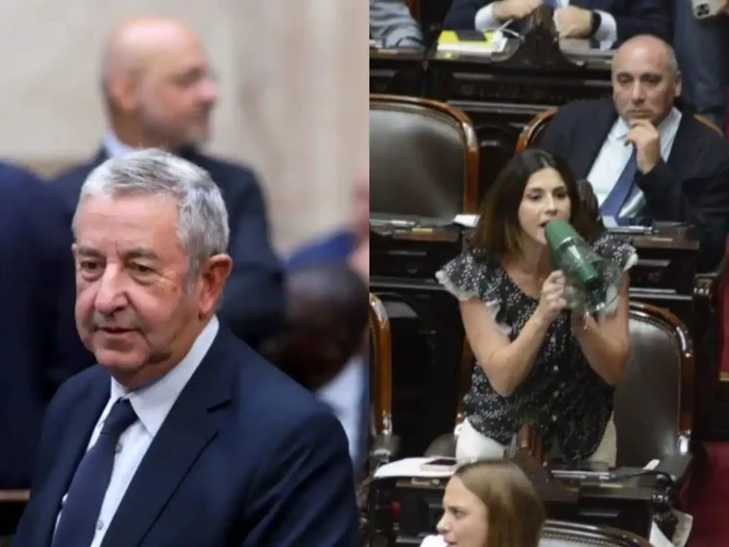 Julio Cobos y Marcela Pagano en el Congreso