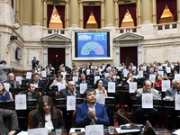 Diputados aprobó la ley de emergencia en discapacidad