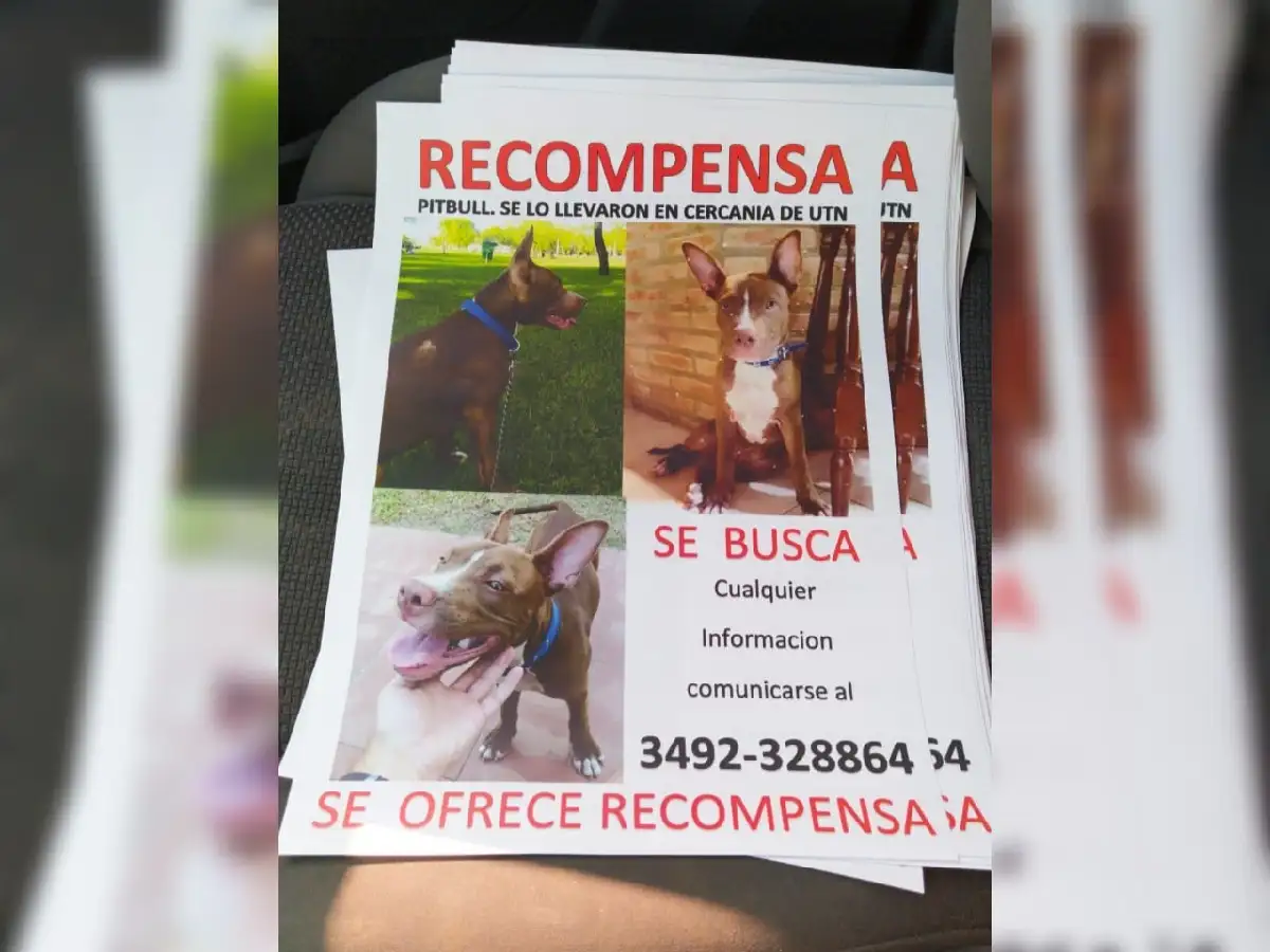 Entraron a robar a su casa y le robaron el perro