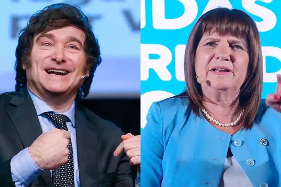 El León y la Pato: el posteo de Milei tras el acuerdo con Bullrich rumbo al balotaje