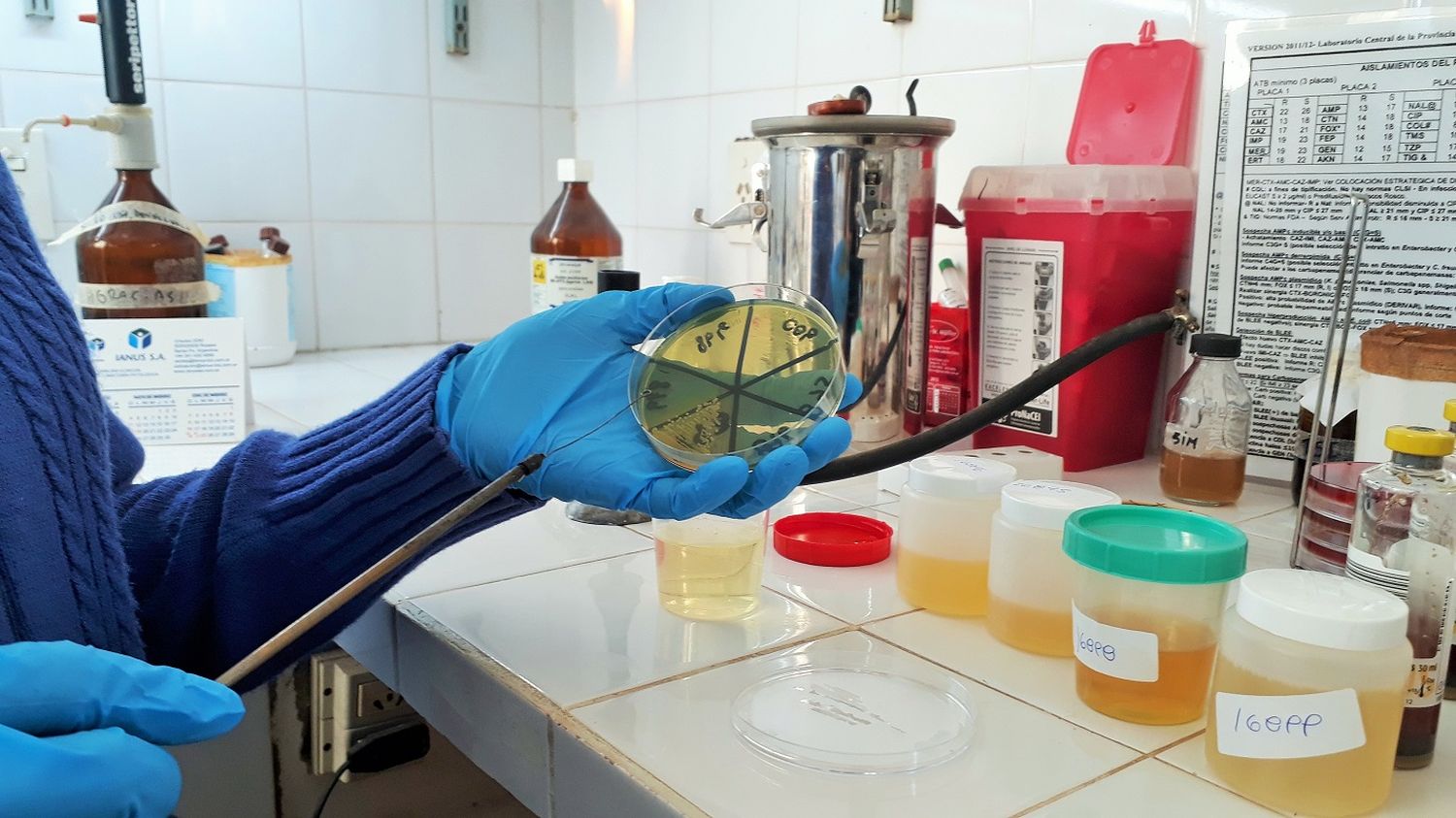 Capacitarán sobre superbacterias, el nuevo desafío para la salud