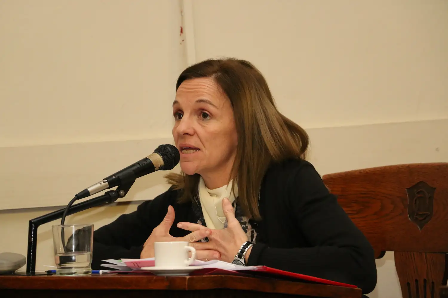 Carolina Gutiérrez: "No hay que temerle al debate" por el proyecto para congelar sueldos