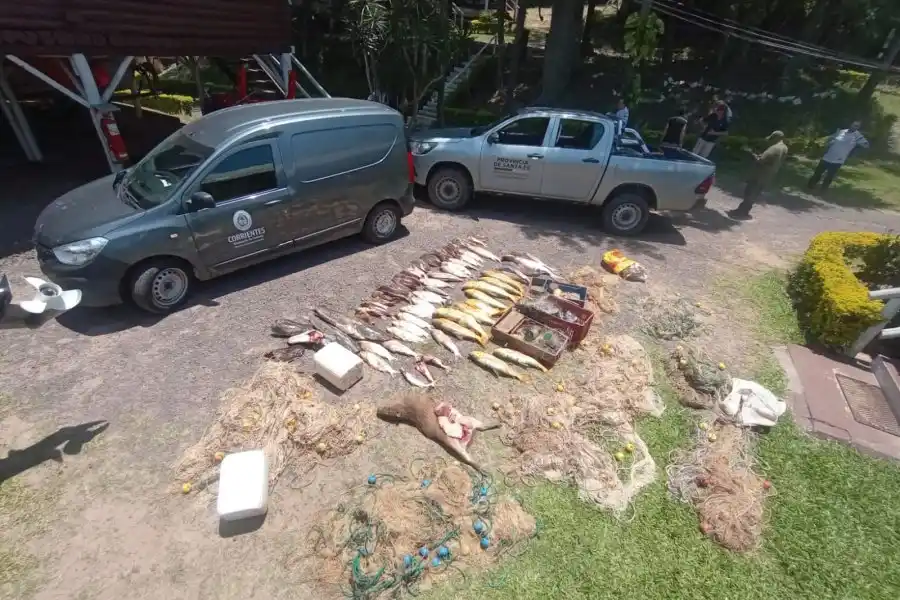 La Guardia Rural Los Pumas del puesto fijo de Florencia  detectó la captura y transporte de Surubíes, especie actualmente vedada.