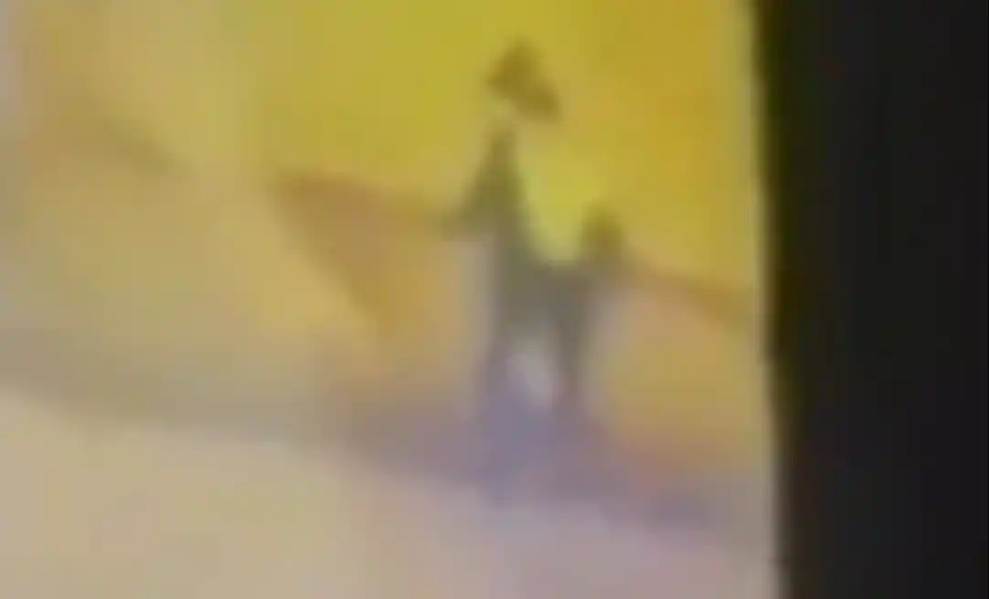 VIDEO: Una pareja de novios muere tras caer de un puente mientras se abrazaban en la baranda