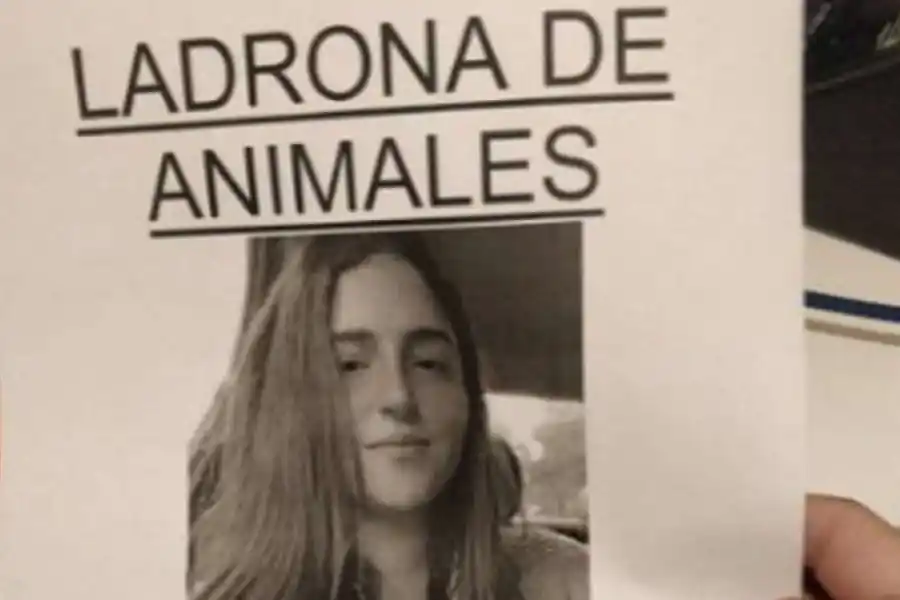Se llevó el perro de un indigente, lo contó en las redes y desató una polémica: "Lo agarré y salí corriendo"