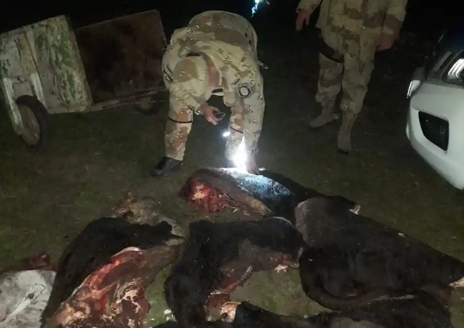 Detuvieron a un joven de 26 años en un campo de Gualeguaychú y otros se dieron a la fuga