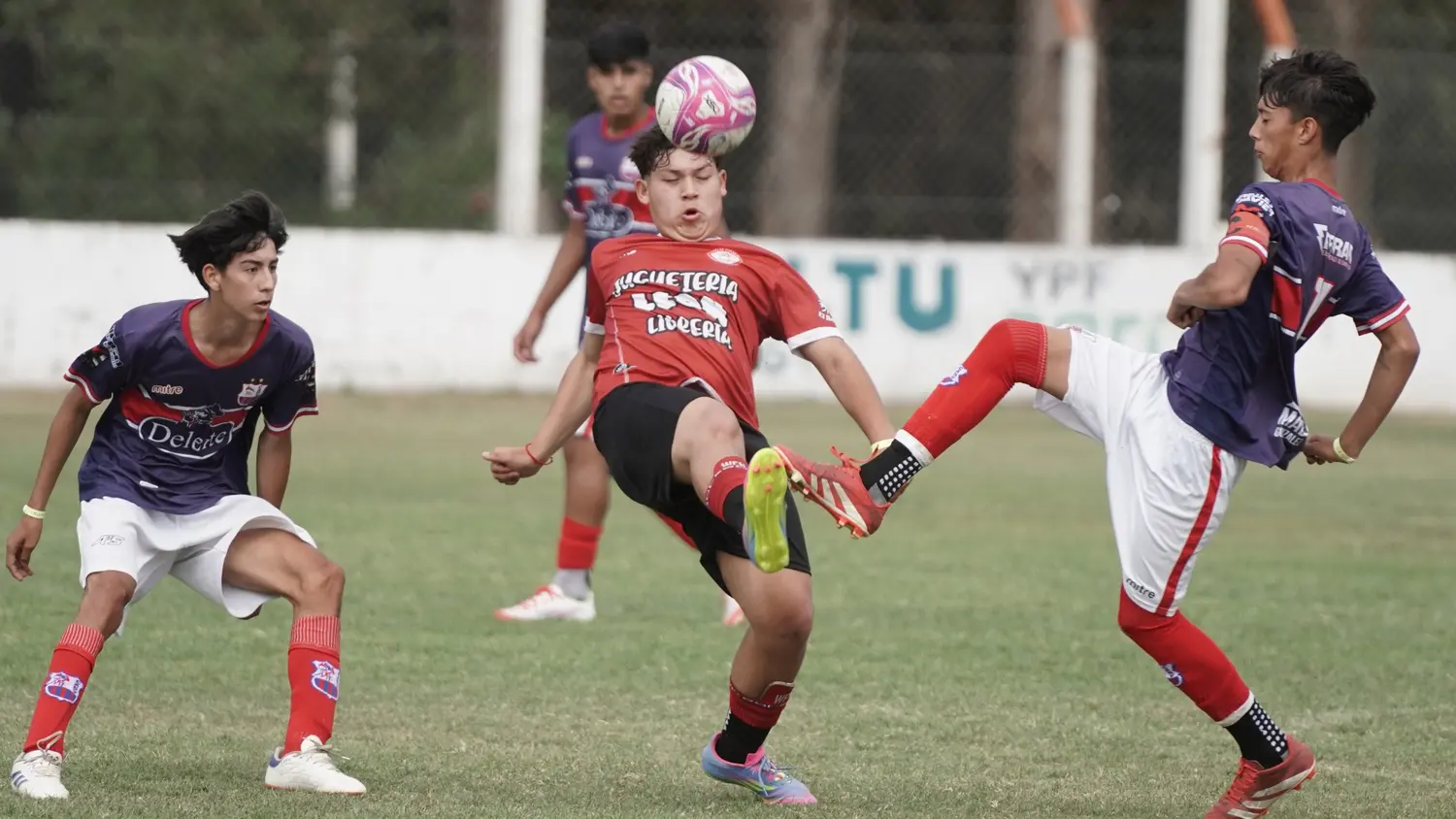 Sur Cup Internacional: la continuidad de una concurrida edición