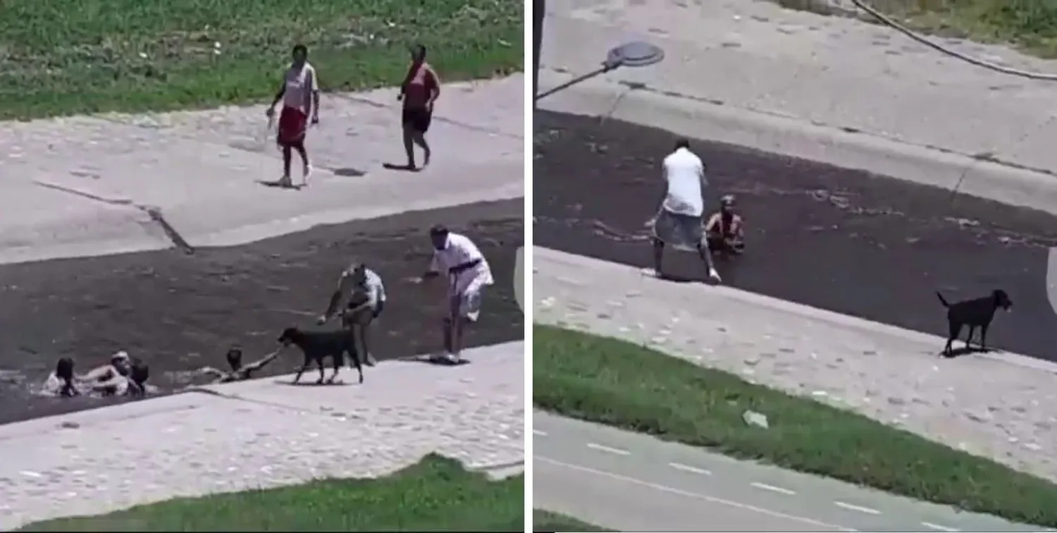 Un vecino rescató con una correa para perros a dos niños