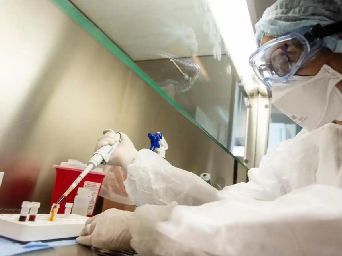 Coronavirus en Argentina: lograron descifrar el genoma del Covid-19 local