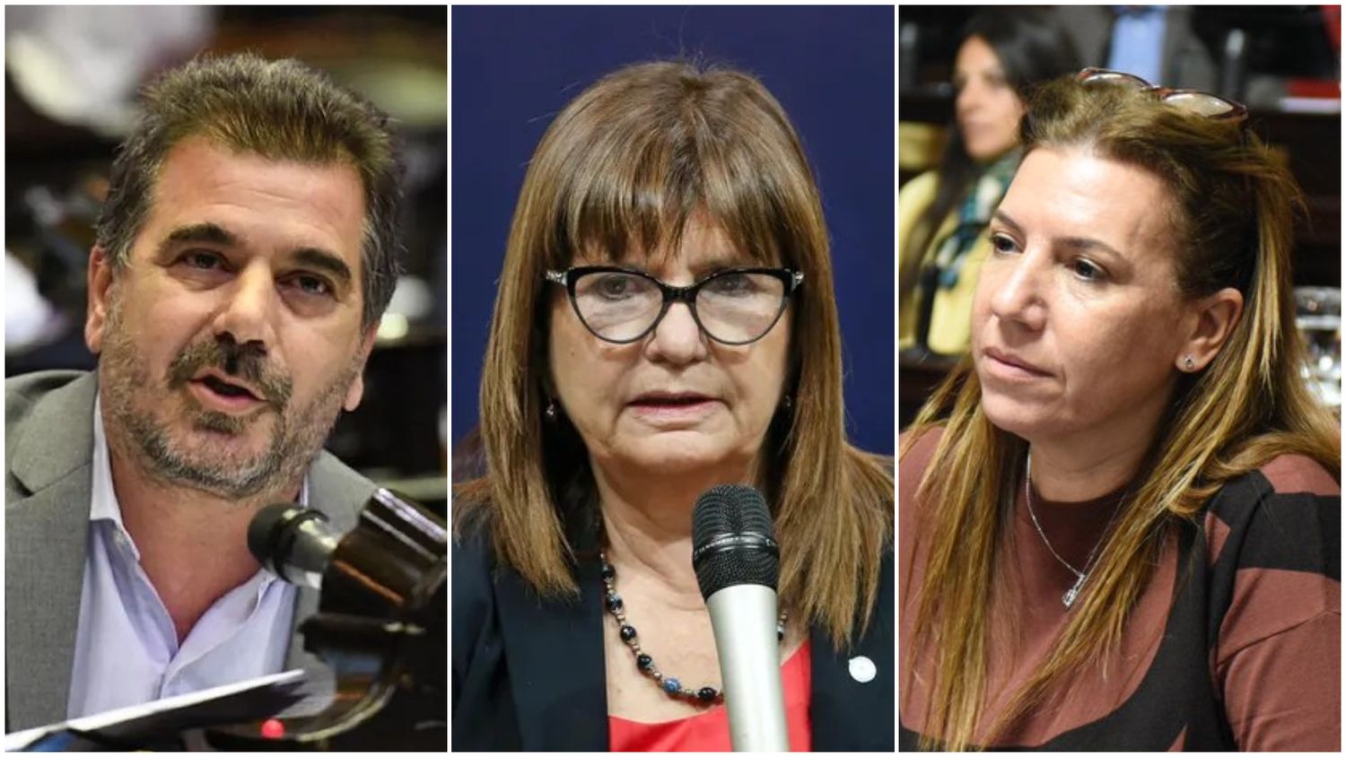 Ritondo cruzó a Reich, una legisladora que responde a Bullrich.