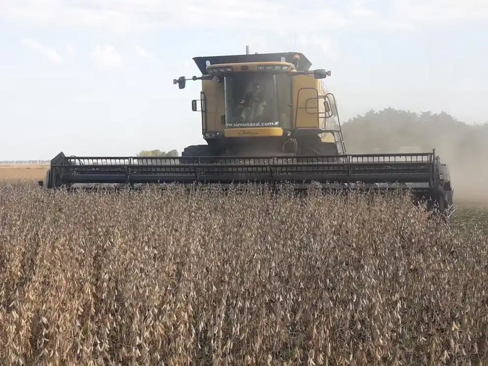 Los exportadores de granos niegan especulación y muestran una liquidación de divisas de USD 2.524 millones en abril