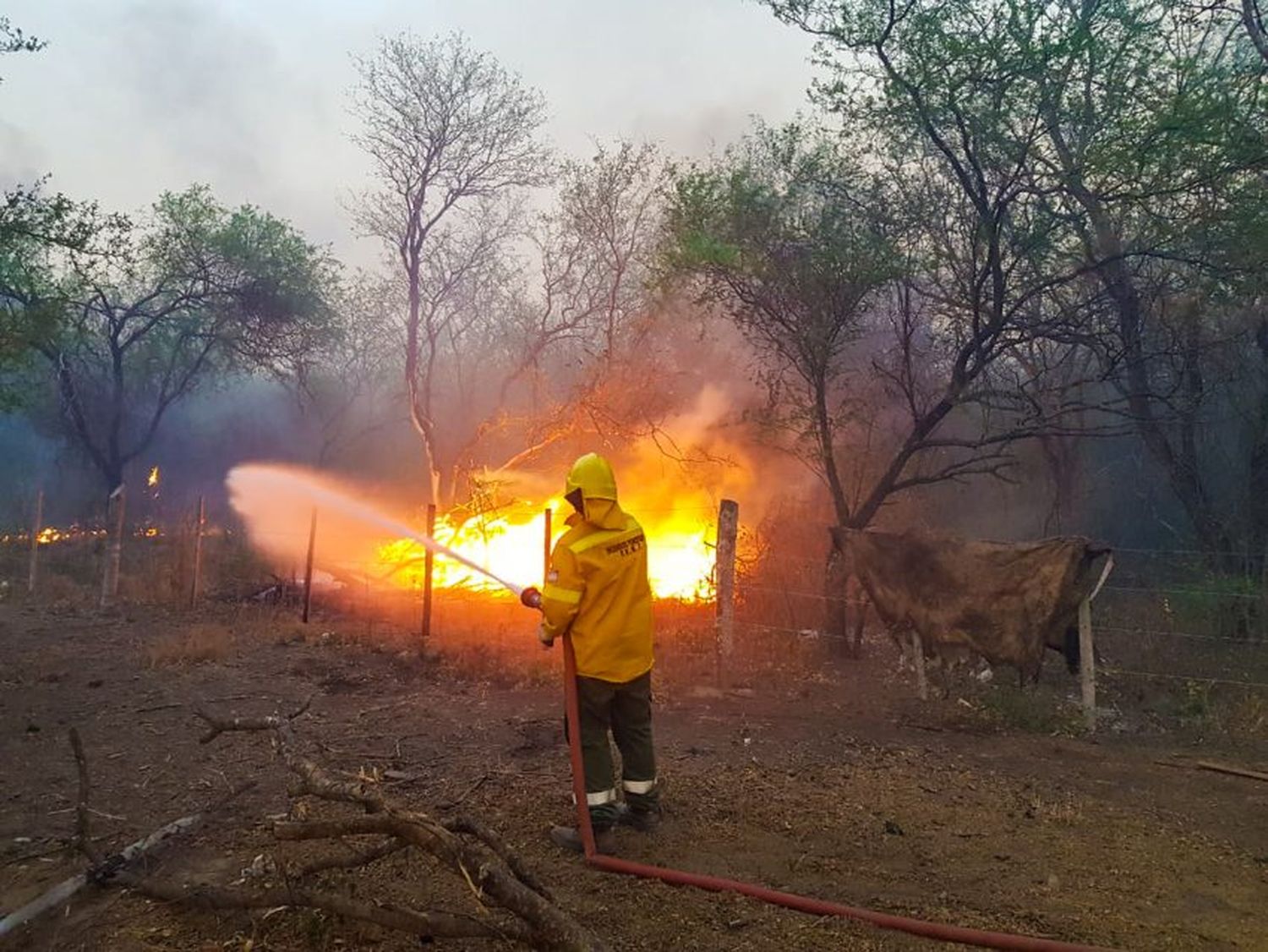 Con las altas temperaturas aumenta el riesgo de incendios