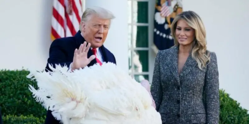 TRUMP indulta al pavo de Acción de Gracias, BIDEN presenta su Gabinete