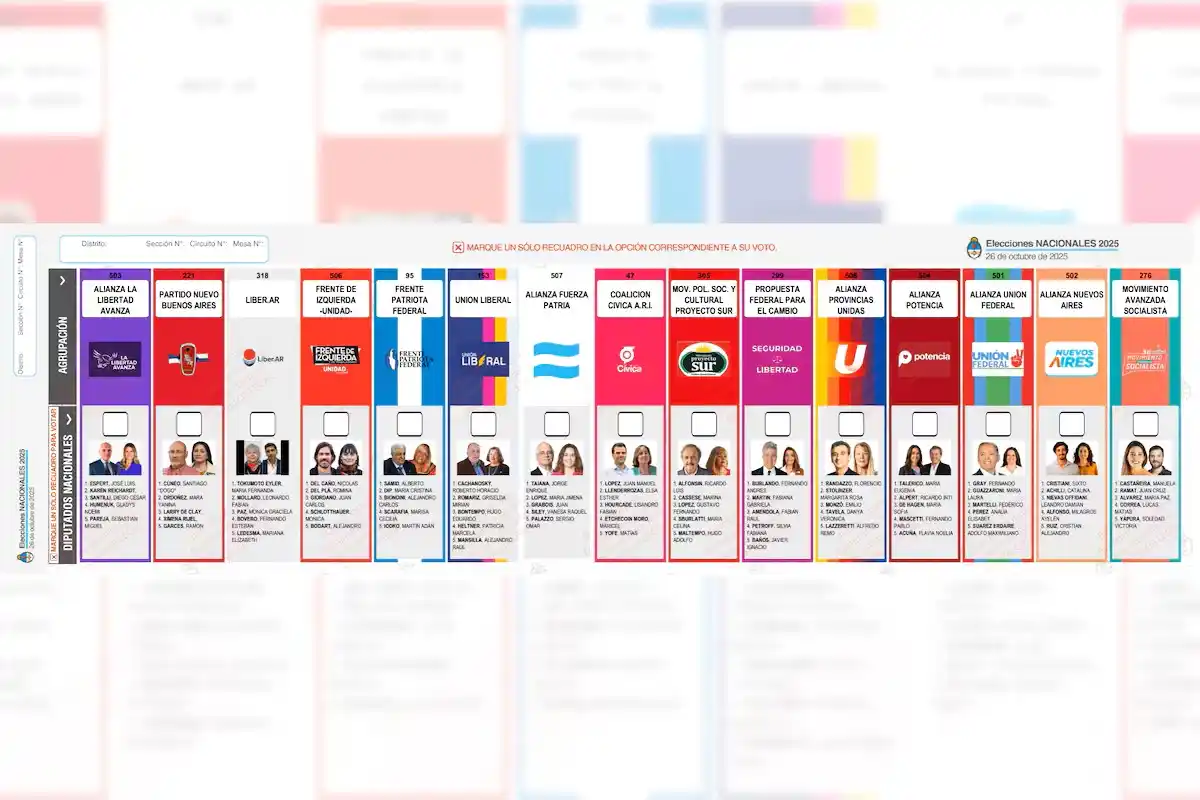 boleta única de papel 2025 elecciones