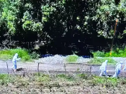 Se revelaron los resultados preliminares de la autopsia sobre la joven que fue encontrada muerta en Entre Ríos.