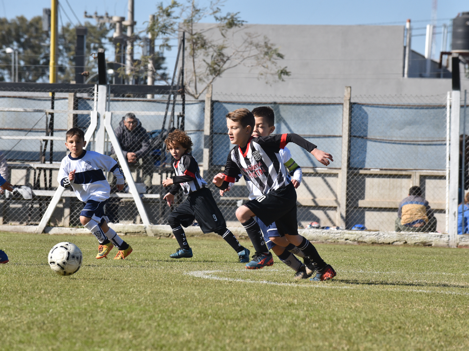 Se bajó el telón del Apertura