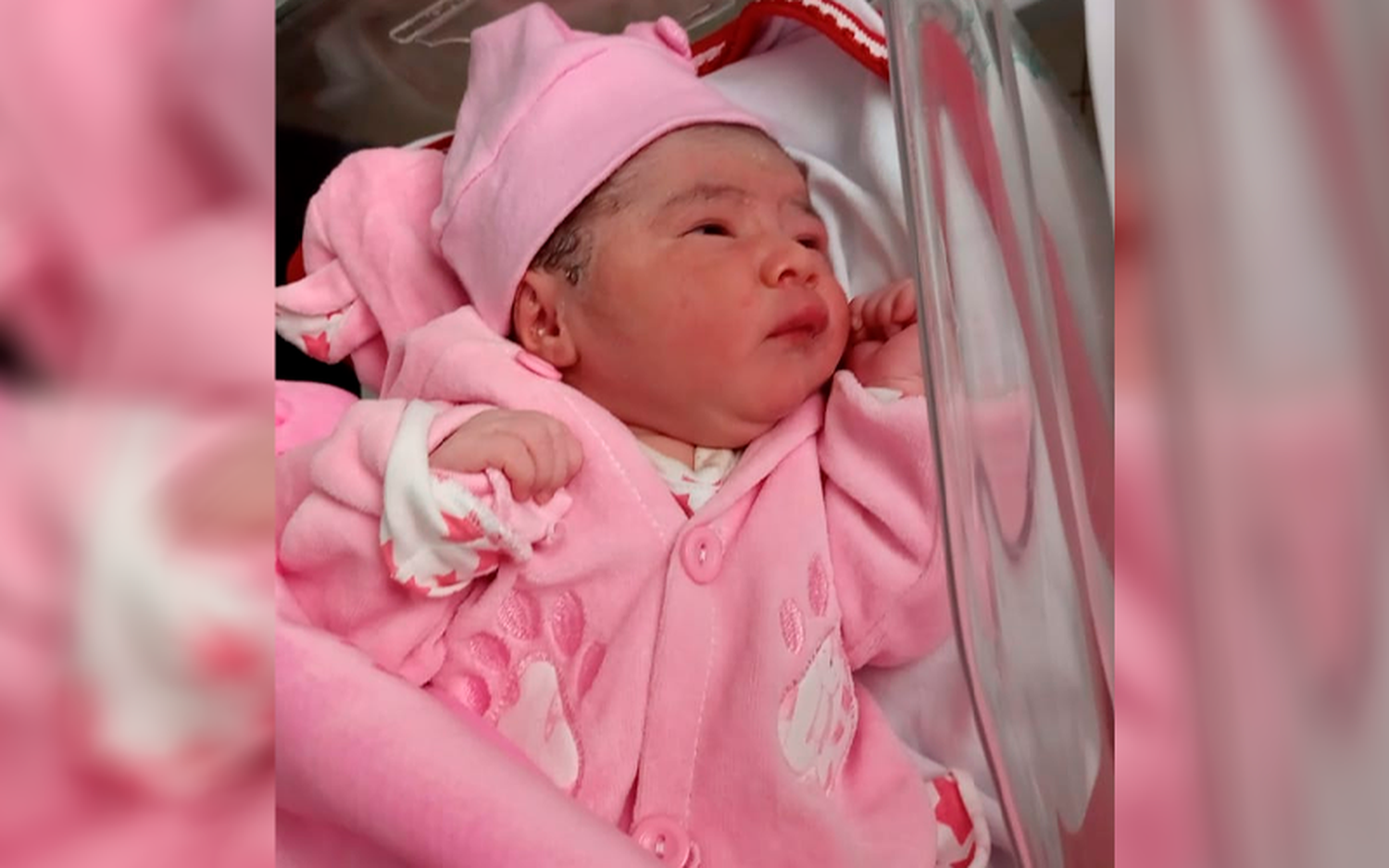 Nacimientos: bienvenida, Alma Ledesma