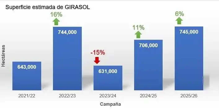 bcp girasol 25 26