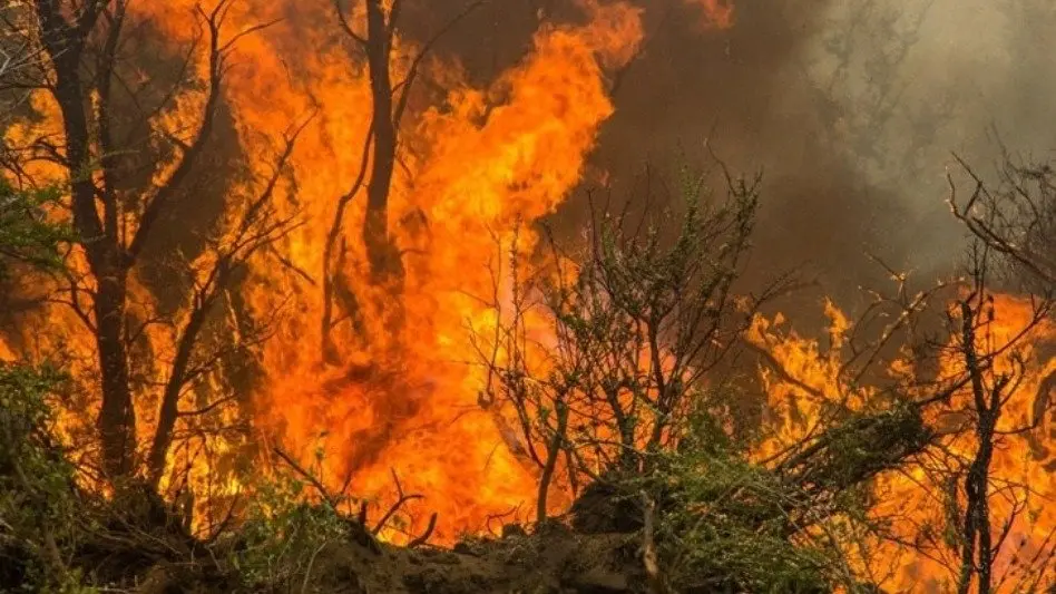 Cabandié presentará una denuncia penal por los incendios en la Comarca Andina