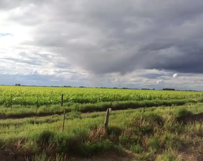 Se “desbloqueó” la atmósfera y hay luz verde para que vengan las lluvias