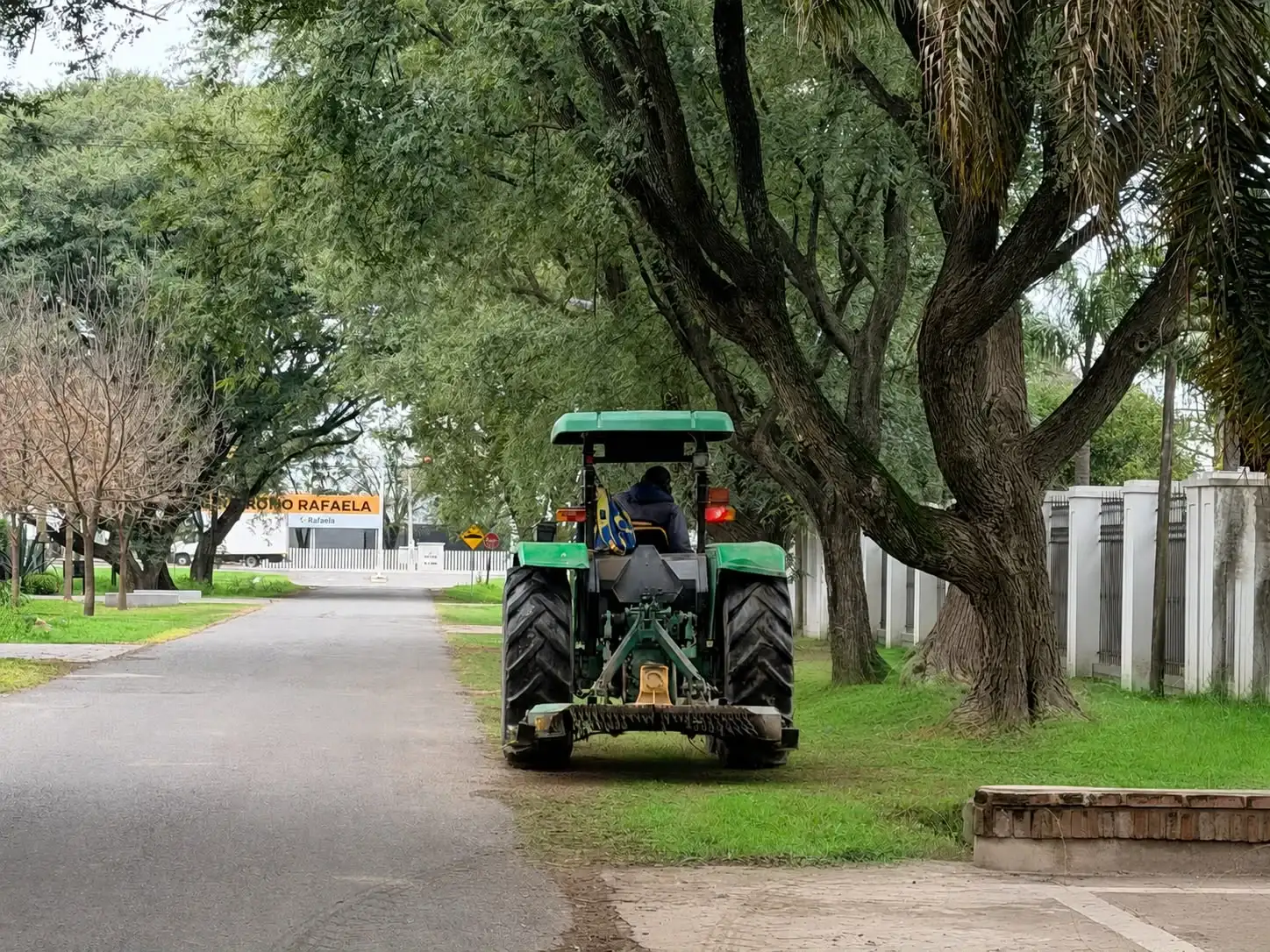 Esta semana continuará la poda urbana y el desmalezado en barrio Álamos del Aero Club - 2