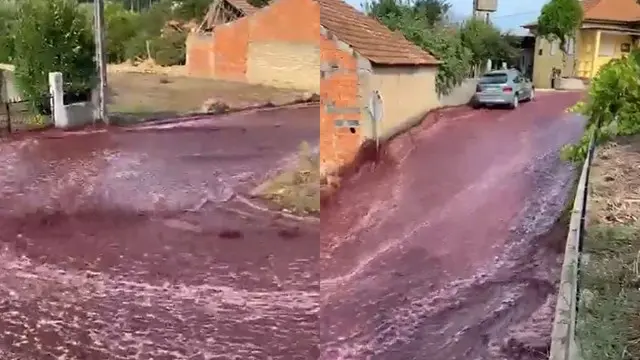 Dos millones de litros de vino tinto inundaron las calles de Portugal