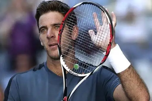 Del Potro sigue de racha: Le ganó a Almagro y está en las semis de Shanghai