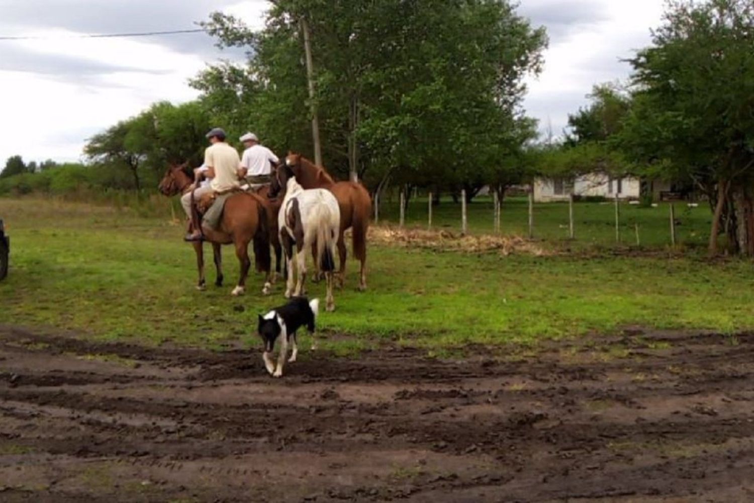 Se suspendió el segundo día de la Fiesta del Caballo y la reprogramaron al domingo