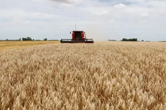 El Gobierno fijó los requisitos para acceder al dólar soja