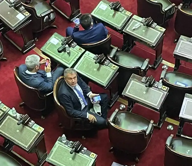 Galimberti anunció su pertenencia al bloque que preside Mario Negri