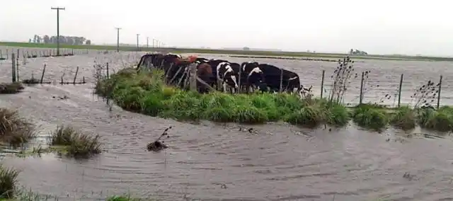 Se esperan anuncios en las próximas horas sobre la emergencia agropecuaria para Entre Ríos 