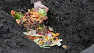 Taller “Separar, compostar, transformar”