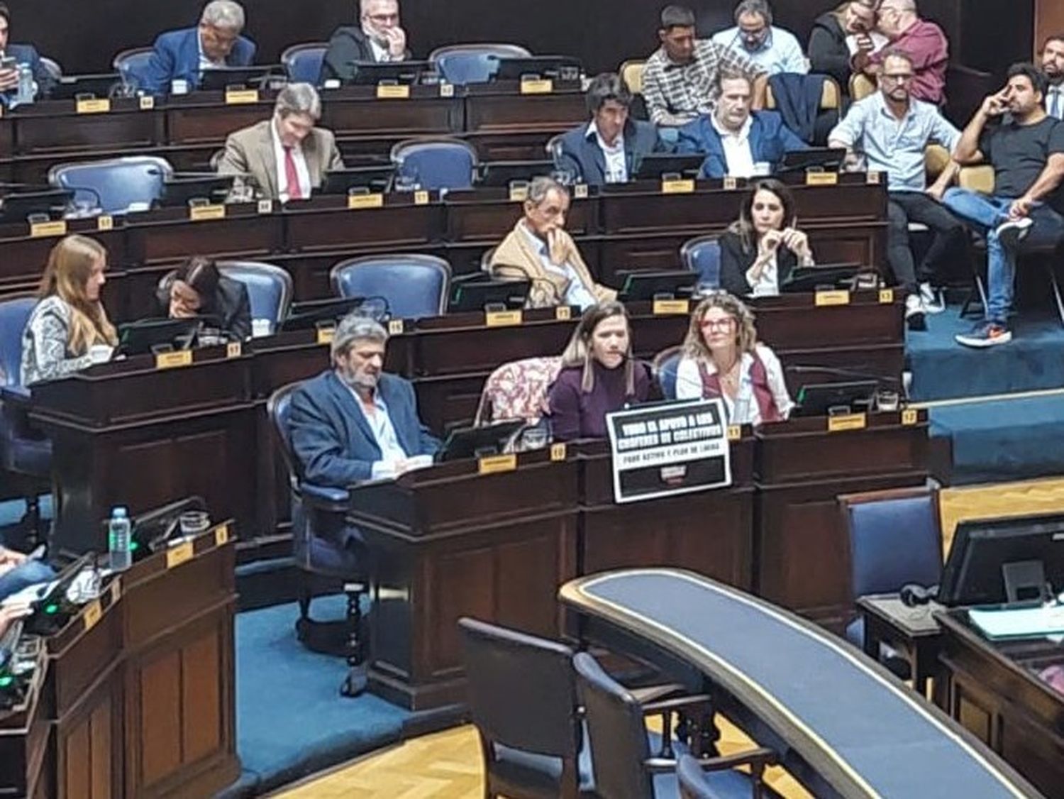 Legislatura: Diputada de Izquierda planteó si la condonación de deudas a municipios irá a la mejora de los salarios