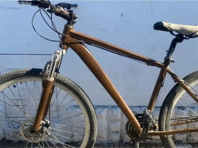 Tenía una bicicleta denunciada como robada y dijo que la compró de buena fe: quedó secuestrada