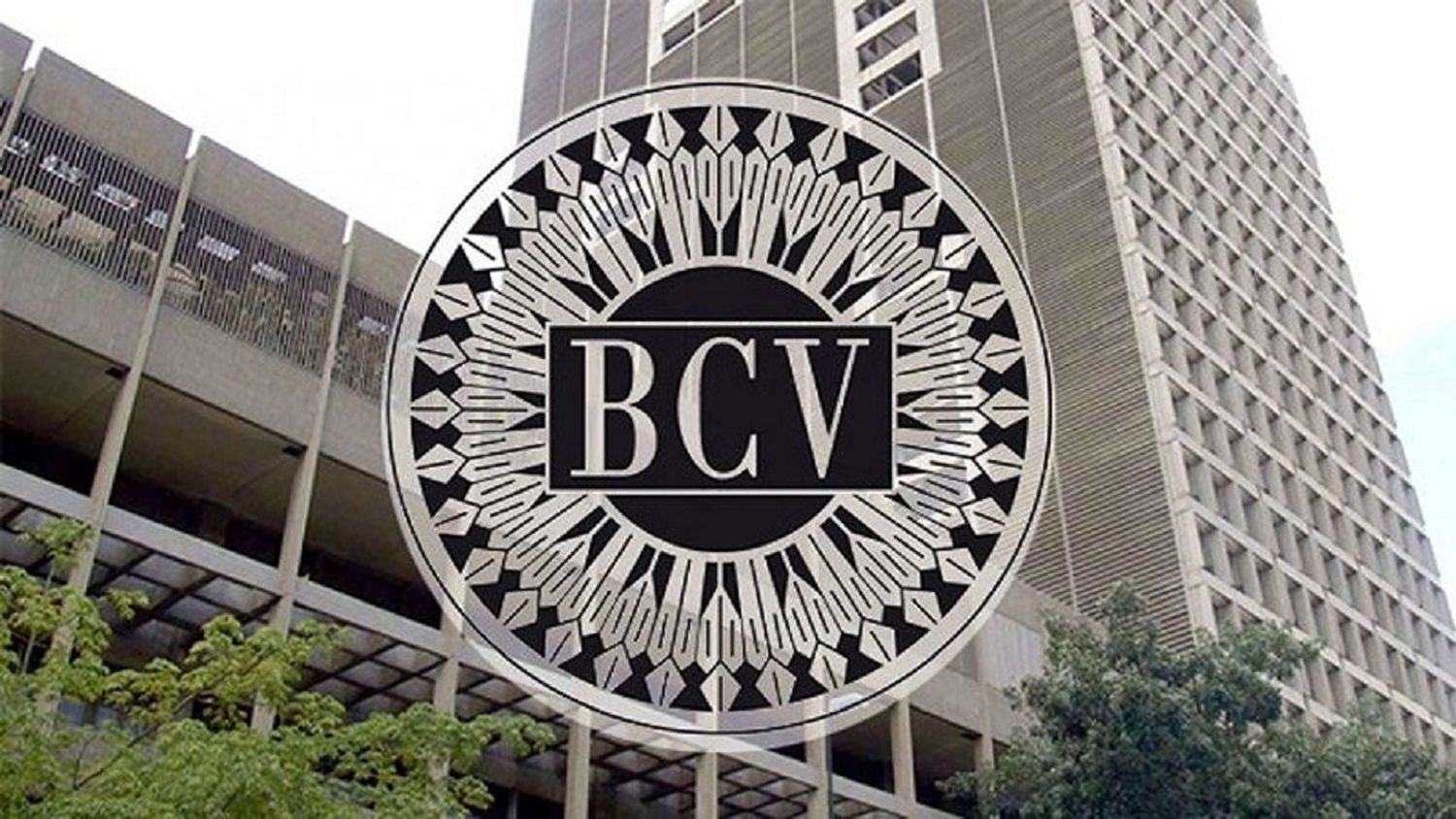 PARA NO DEJAR LEVANTAR MÁS VUELO AL DÓLAR, BCV hizo primera intervención cambiaria del 2025