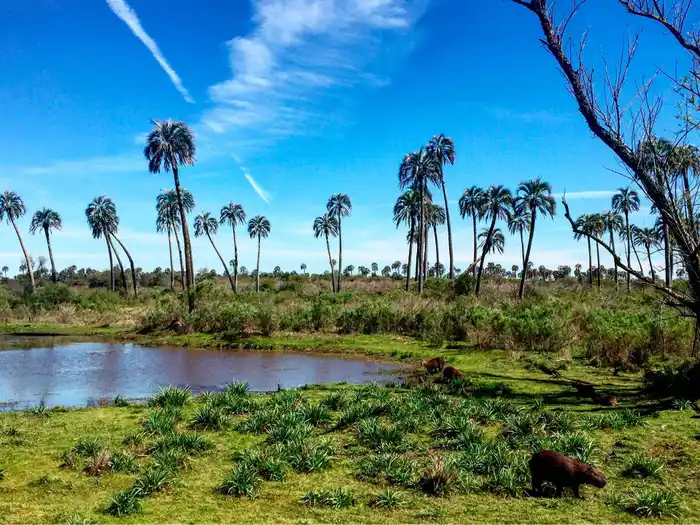 Entre Ríos roza la ocupación plena y se prepara para un Carnaval récord