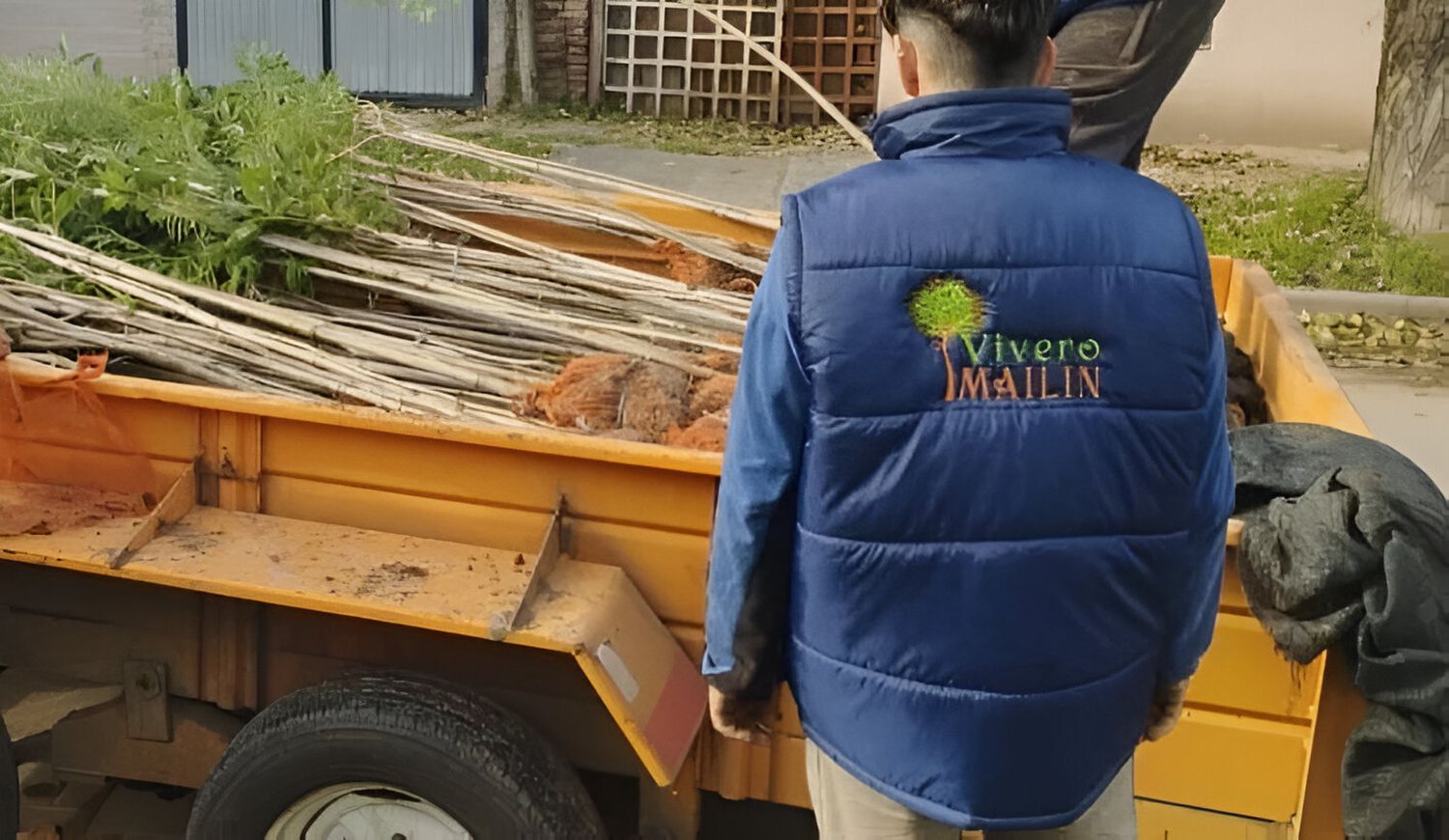 El robo ocurrió en la oficina container del reconocido vivero Mailín.