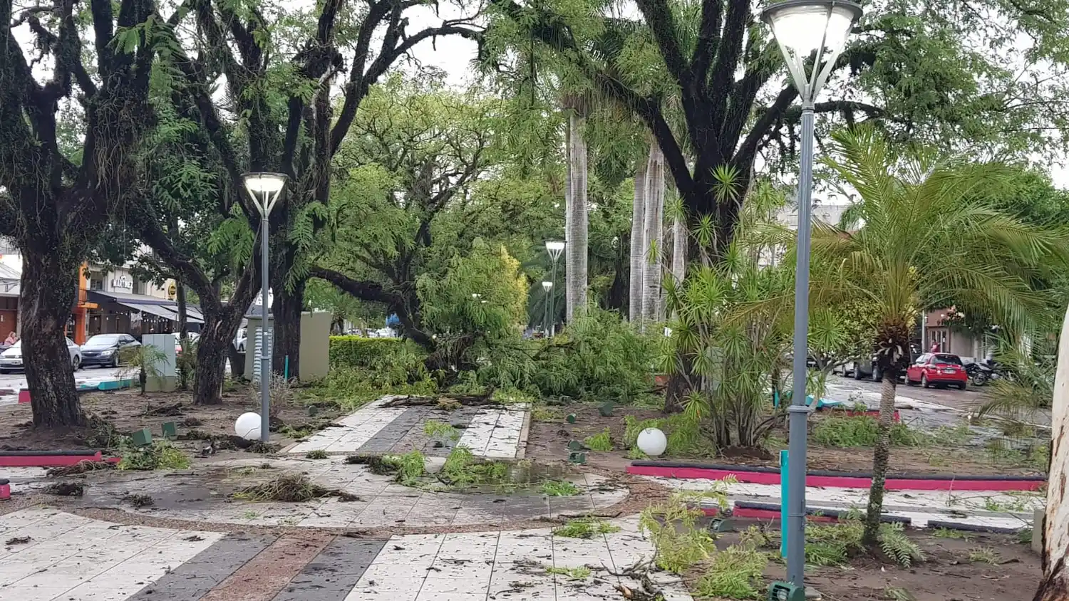 Numerosos daños materiales en la ciudad a causa del temporal