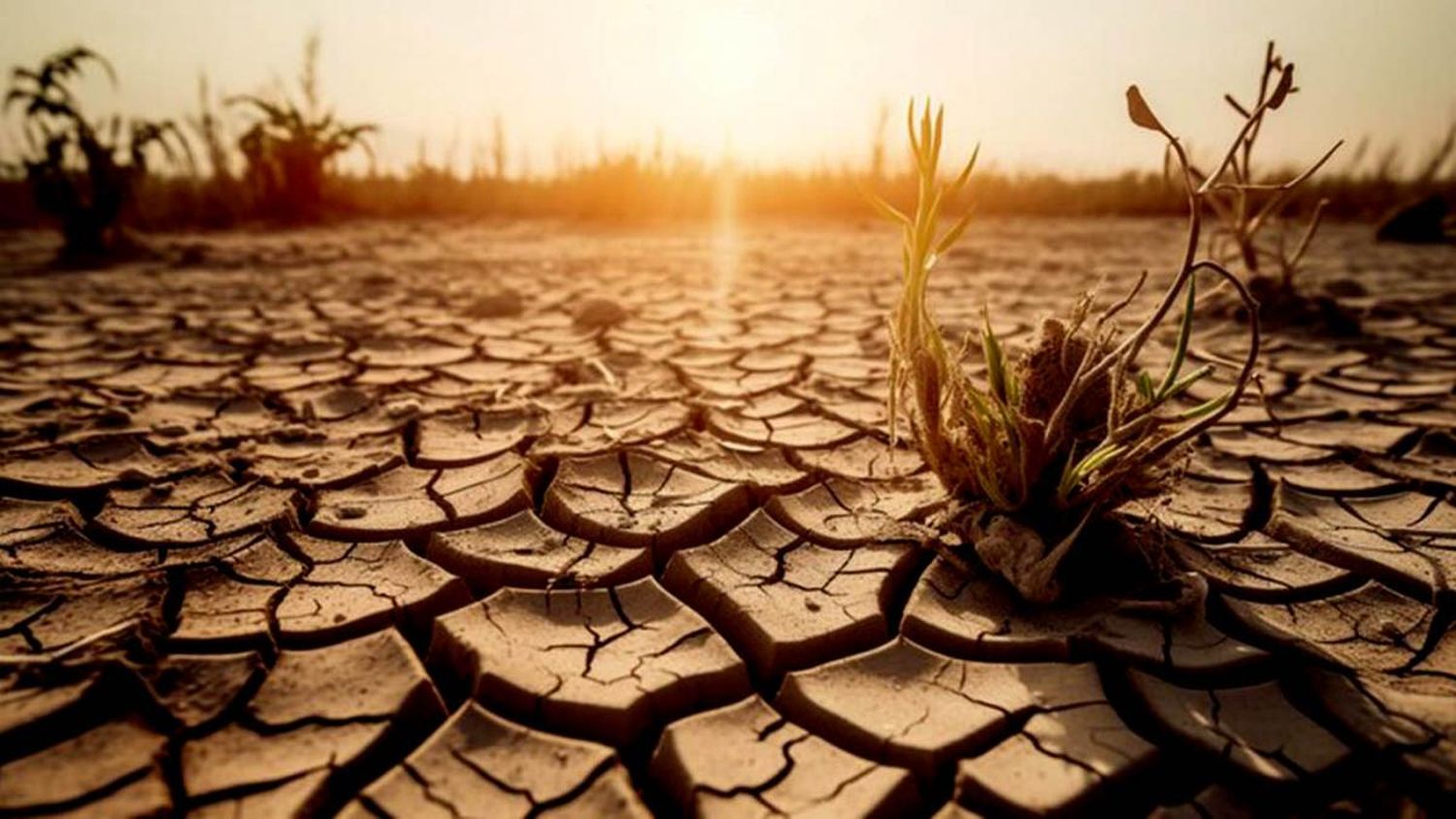 Advierten que las tensiones geopolíticas traban la lucha contra el cambio climático