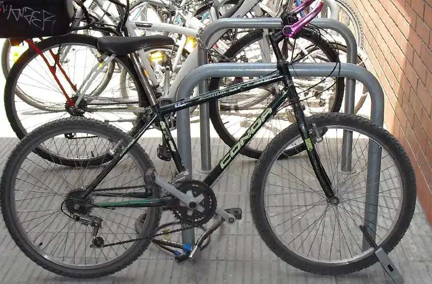 Le robaron la bicicleta al concejal Lichu Zeno en la puerta del Palacio Vasallo