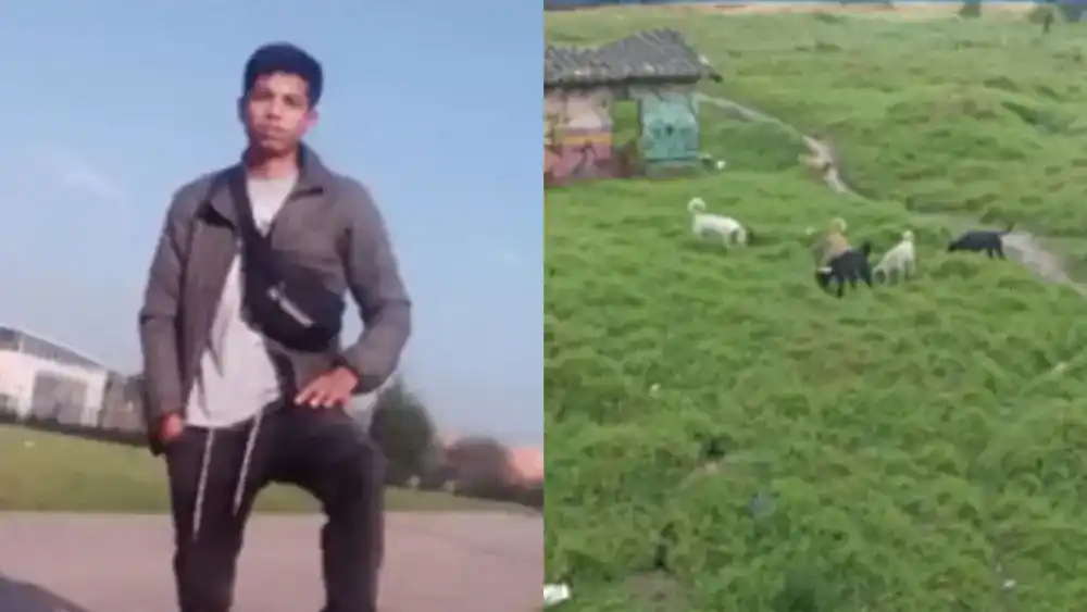 Joven de 19 años sobrevive a ataque de una jauría de perros: PERDIÓ SUS BRAZOS (+Detalles)